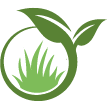 Noblesville Lawn Clean Up