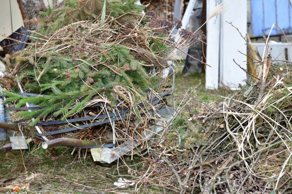 Cost of Yard Debris Removal in Noblesville