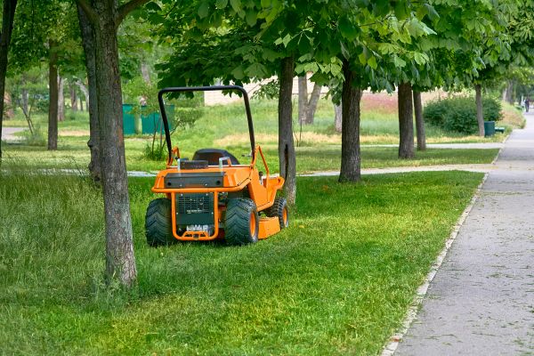 Landscaping Cleanup Service in Noblesville