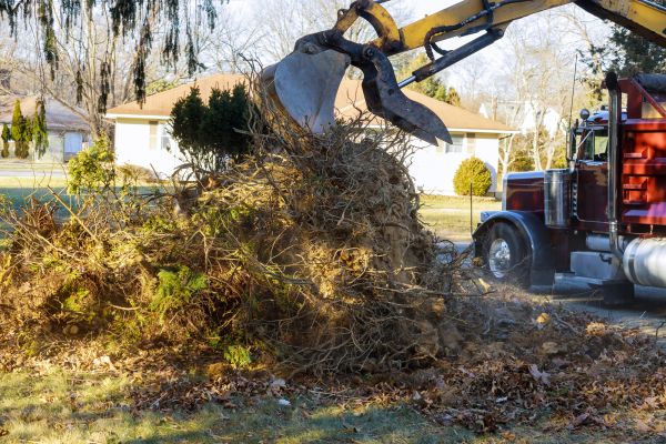 Cost of Storm Debris Removal in Noblesville
