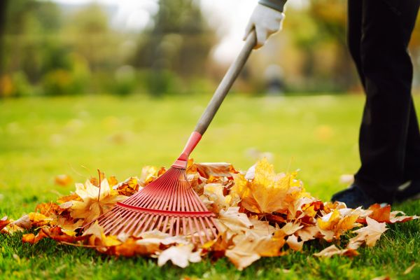 Cost of Ditch Leaf Removal in Noblesville