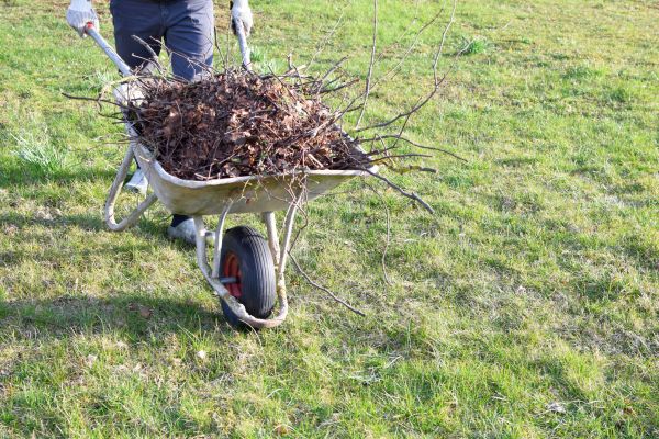 Cost of Yard Brush Removal in Noblesville