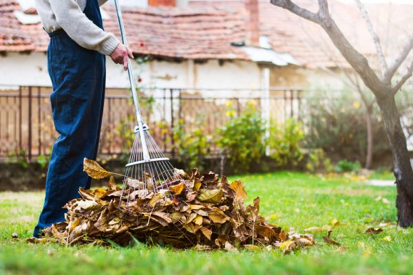 Spring Lawn Cleanup in Noblesville