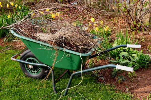 Cost of Lawn Waste Removal in Noblesville