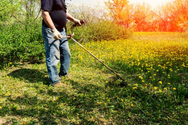 Yard Clearing Service in Noblesville