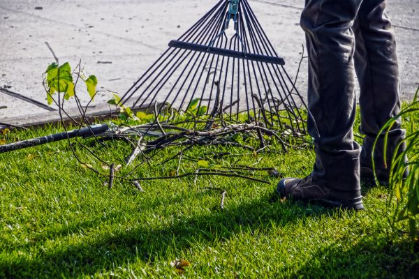 Yard Debris Cleanup in Noblesville