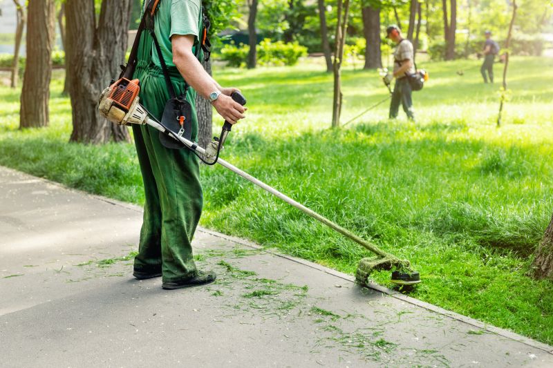 Trimming Overgrown Plants